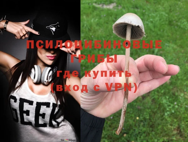 мдпв Арсеньев